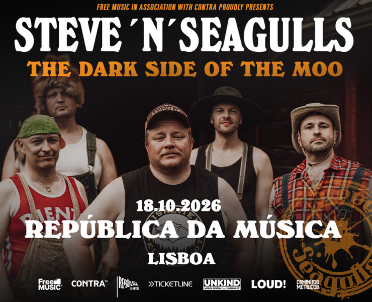 Steve n’ Seagulls